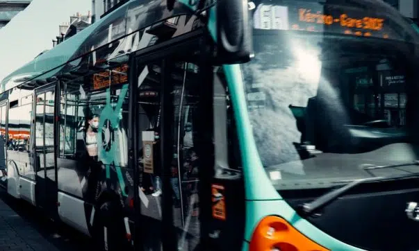 white and green bus on road during daytime