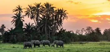 10 jours en Namibie : itinéraire et conseils